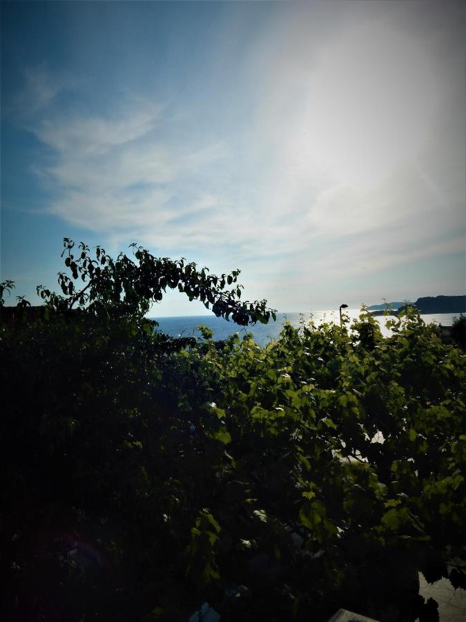 Vila Teodora スヴェティ・ステファン エクステリア 写真